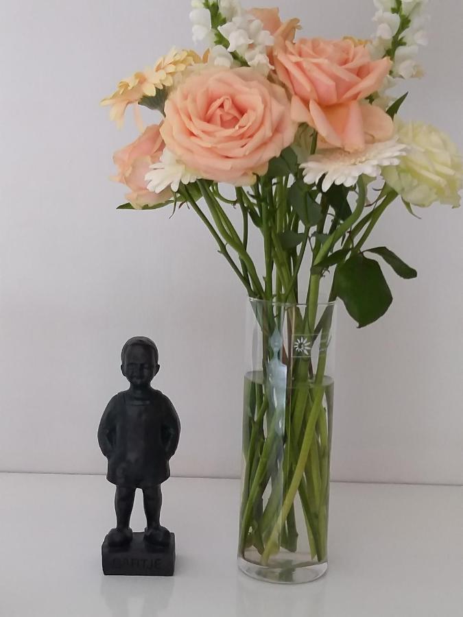 B&B De Notaris 아센 외부 사진